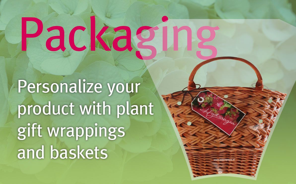 Packaging